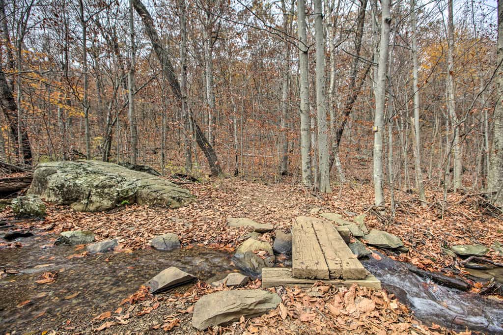 Wintergreen Resort Cabin: Near the Slopes!