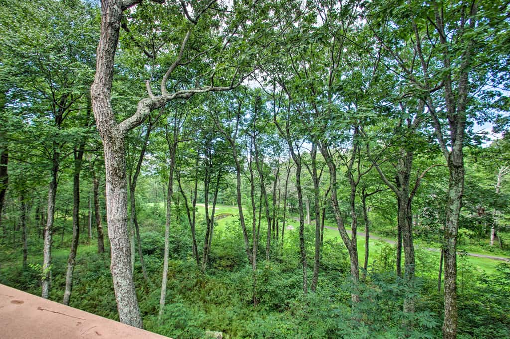 Luxe Wintergreen Resort Escape w/ Hot Tub!