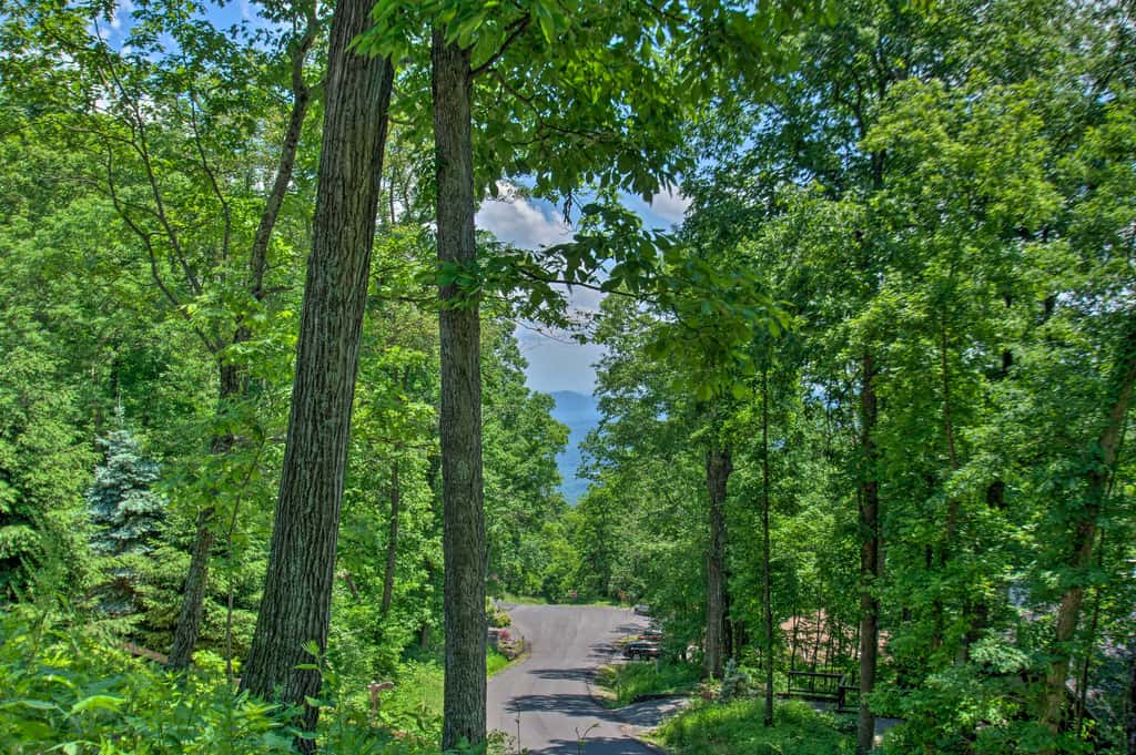 Grand Chalet w/ Hot Tub -  Near Wintergreen Resort