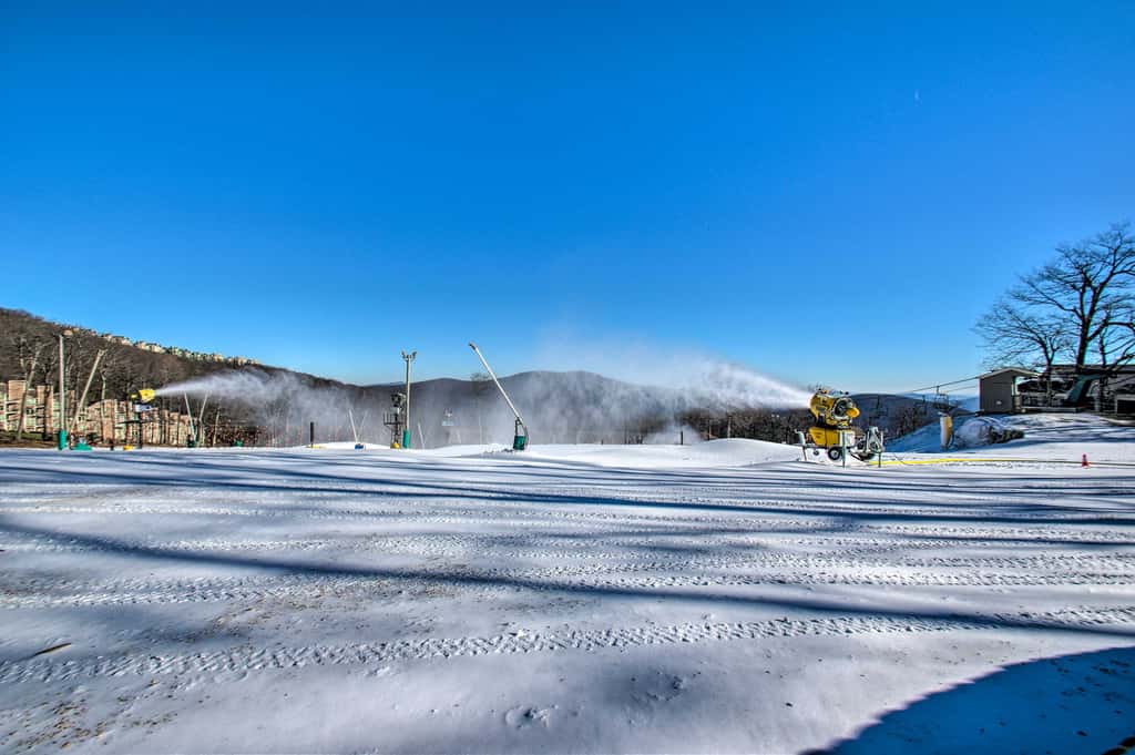 Snug Wintergreen Resort Studio: Ski In & Out!