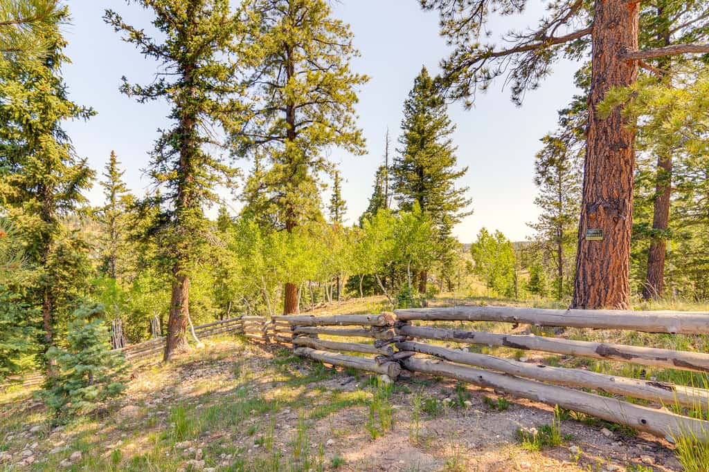 Fire Pit + Sauna: Inviting Utah Cabin