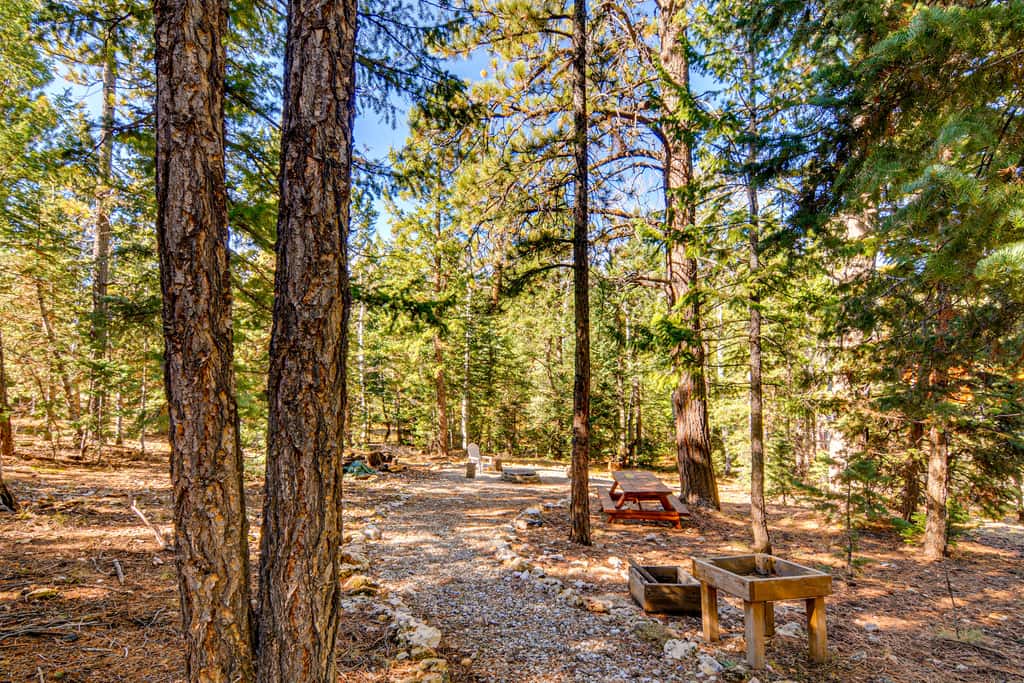 Near National Parks: Duck Creek Cabin Retreat