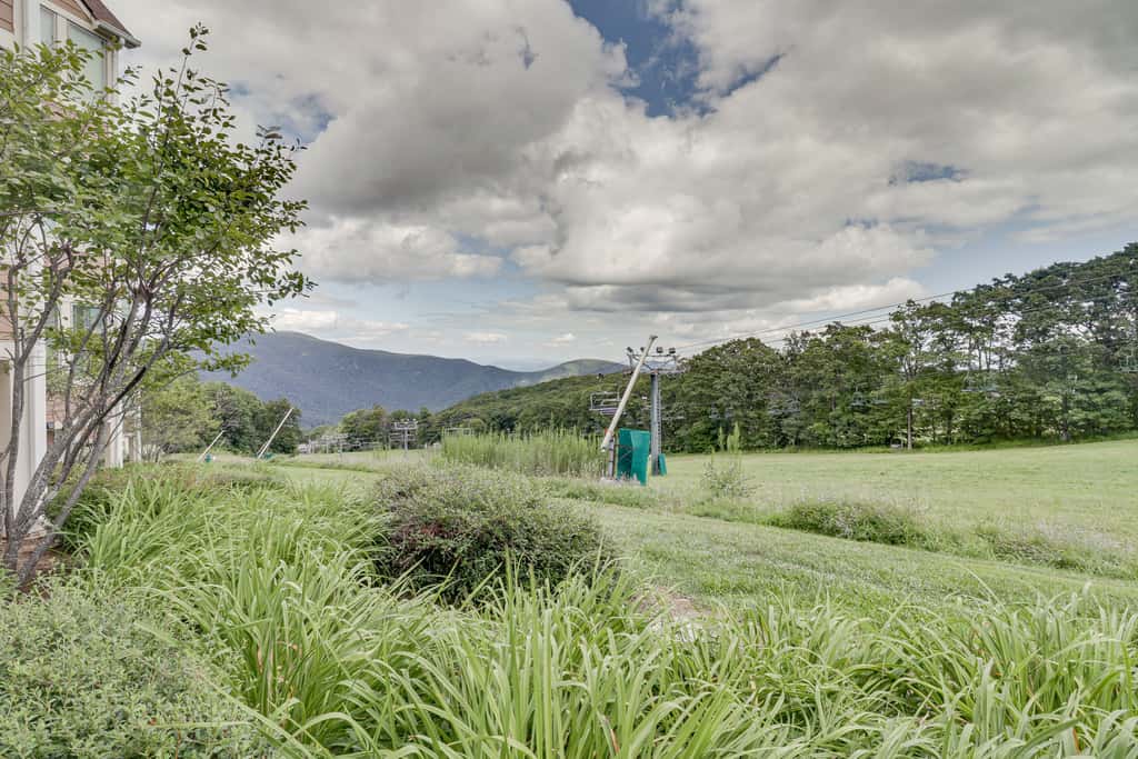 All-Season Fun! Wintergreen Resort Condo w/ Views