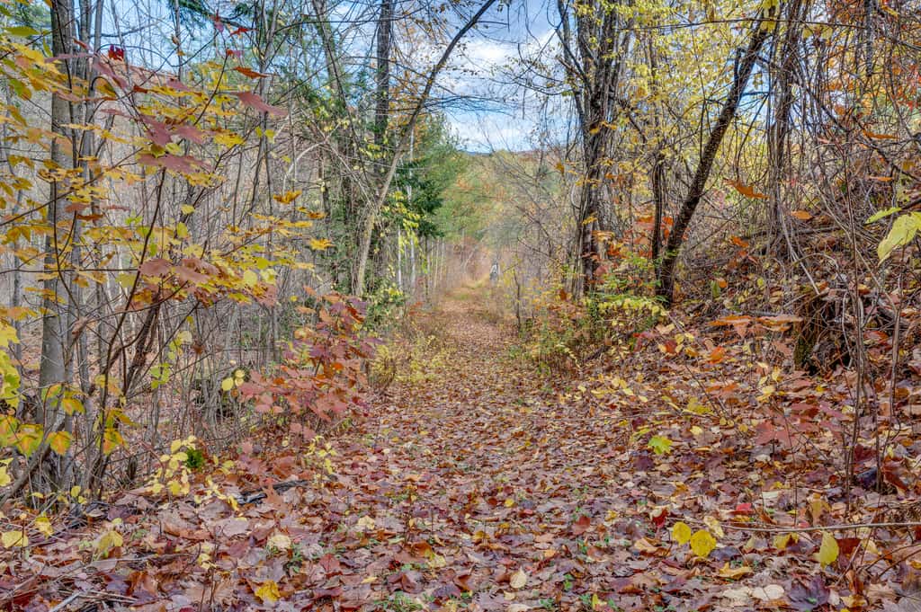 White Mountains Home w/ Hot Tub - Walk to Town!