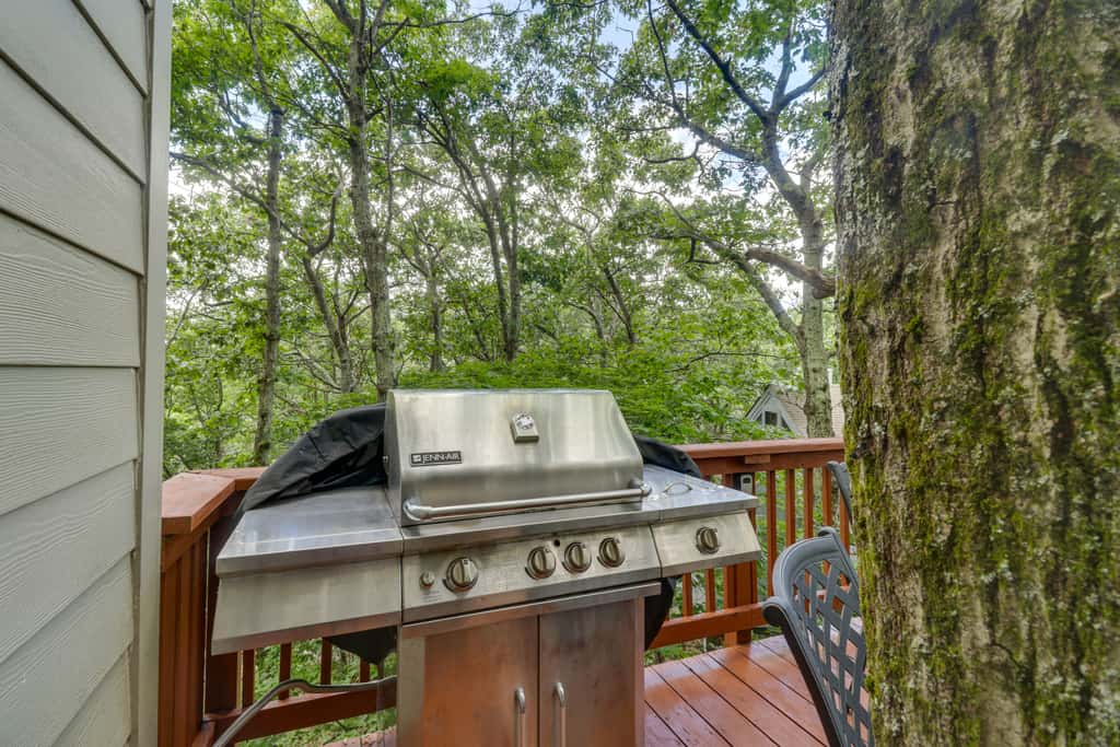 Wintergreen Home w/ Hot Tub, Deck & Mountain Views