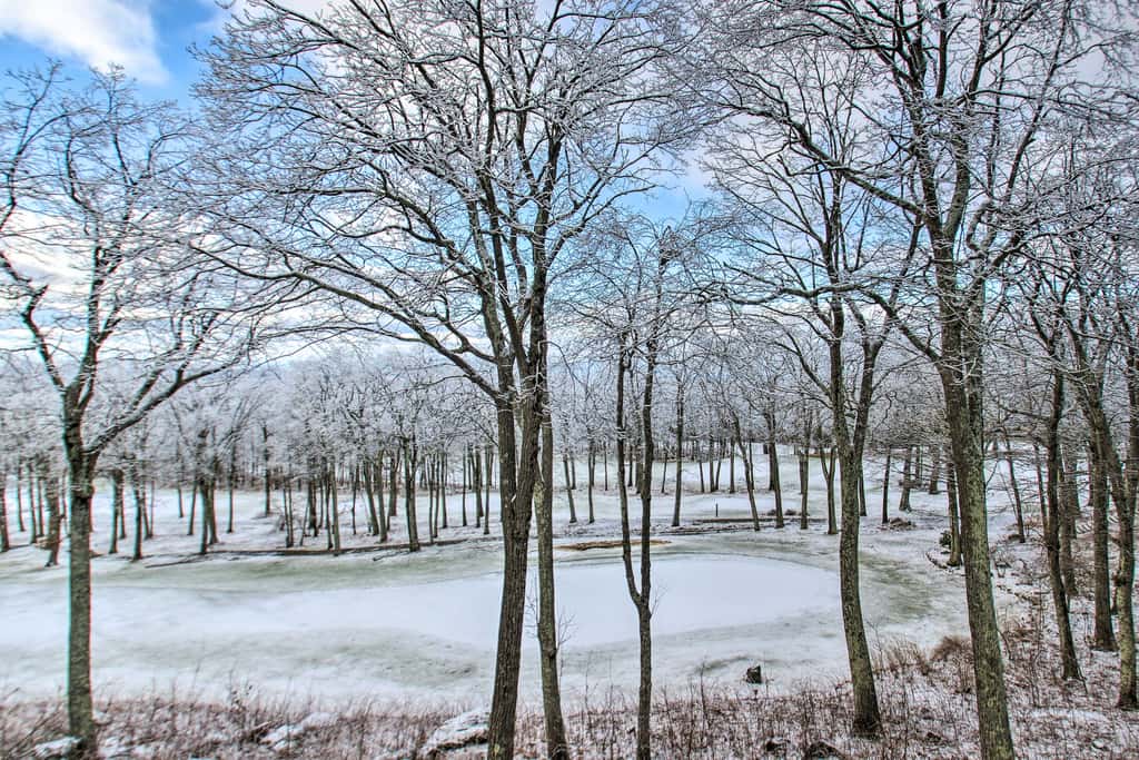 Wintergreen Resort Condo: Walk to Ski Lift!