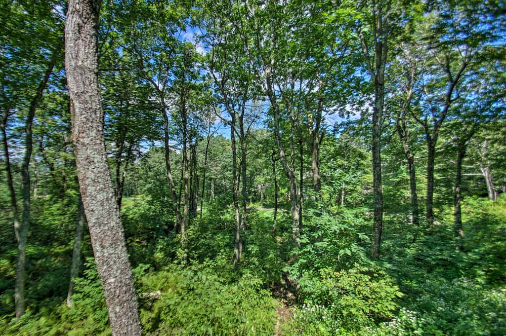 Ski-In/Ski-Out Wintergreen Resort Condo + Hot Tub!
