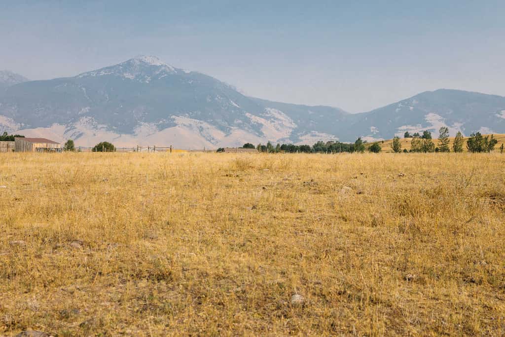 Paradise Valley Cabin by Chico & Yellowstone Park!
