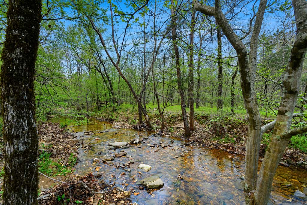 Secluded Creekside Cabin w/ Hot Tub & Fire Pit!