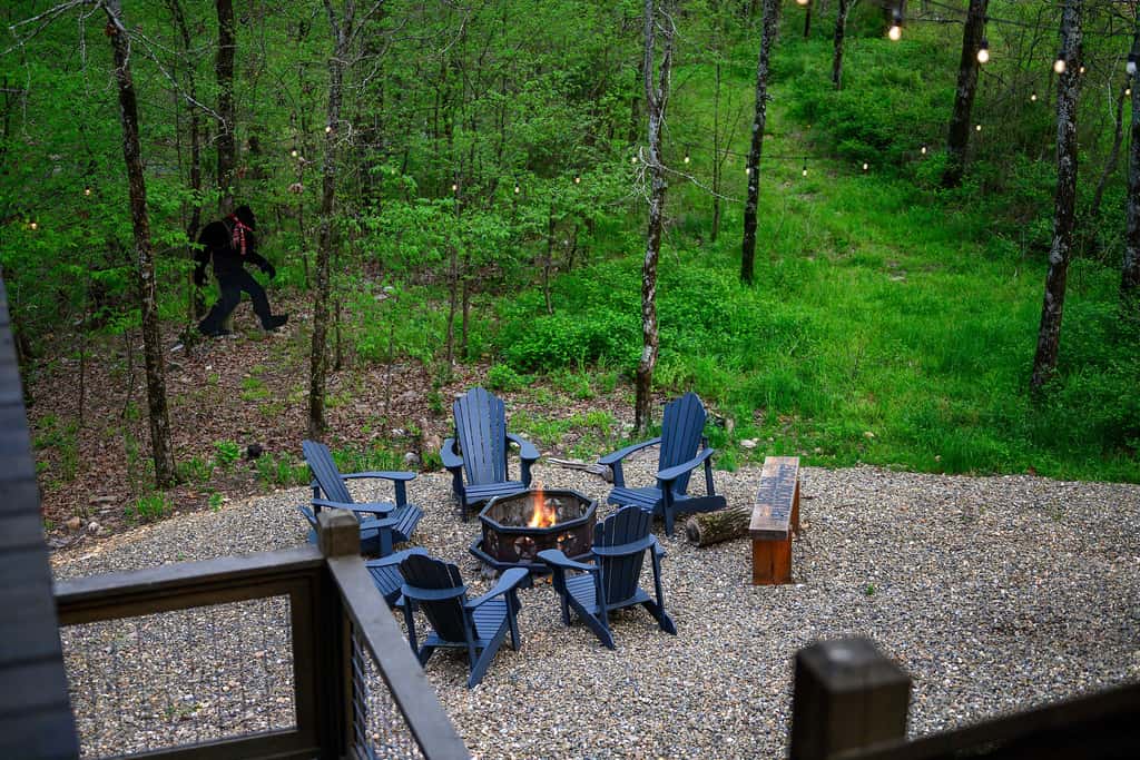 Secluded Creekside Cabin w/ Hot Tub & Fire Pit!