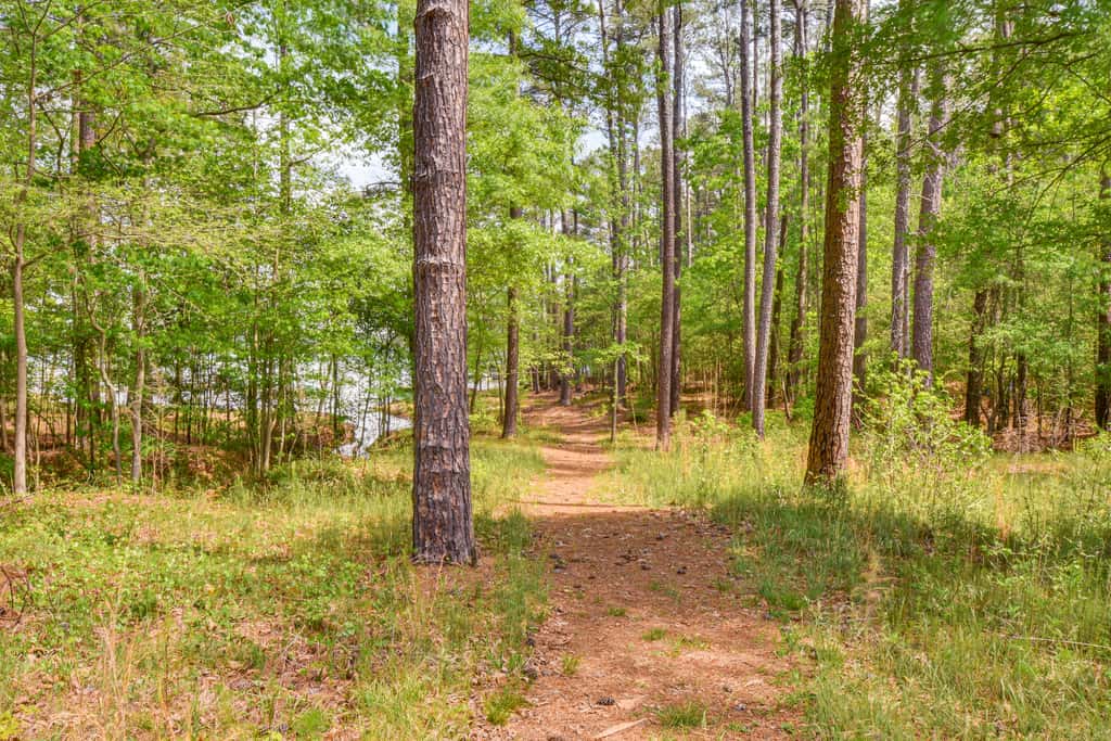 Waterfront Townville Home: Hot Tub & Lake Access!