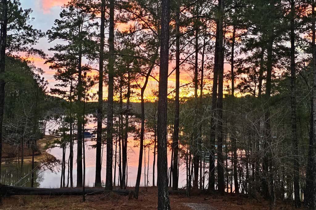 Lakefront McCormick Retreat w/ Patio & Views