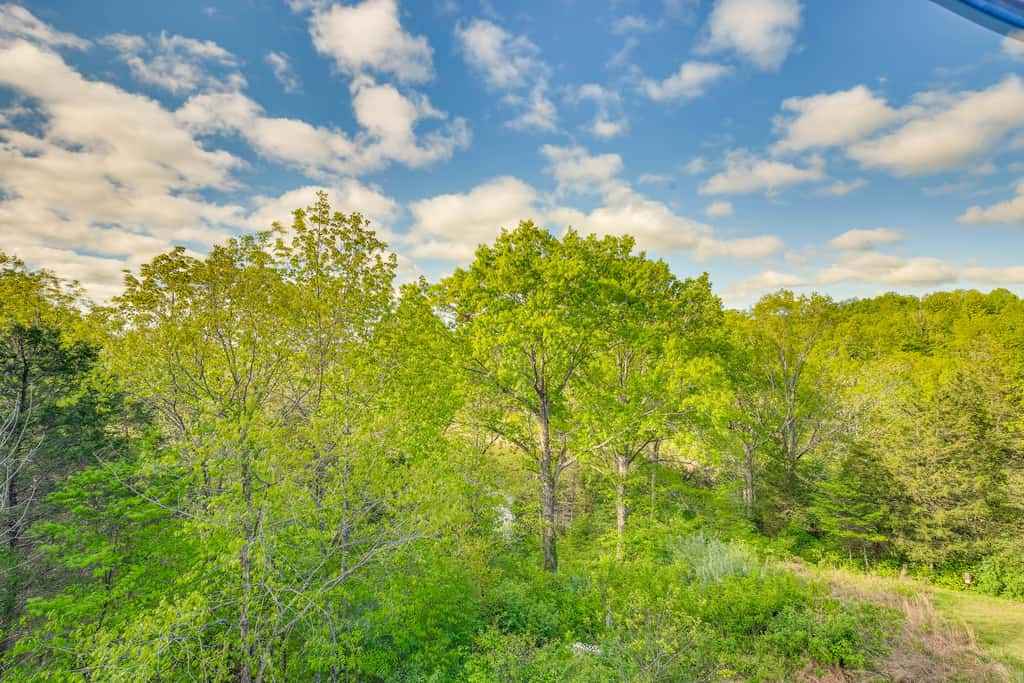 Taylorsville Cottage w/ Hot Tub & Lake Access!