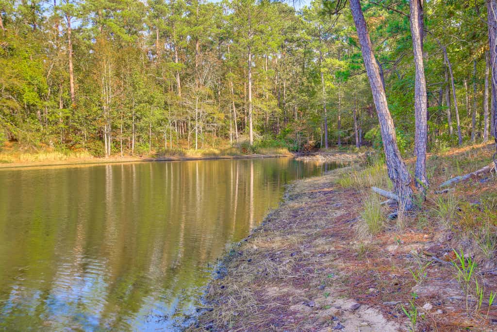 Modern McCormick Townhome on Lake Thurmond!