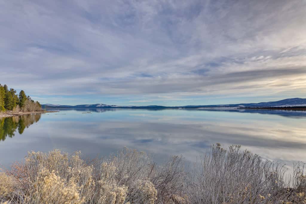 Cozy & Restful Cabin, 2 Blocks to Lake Almanor