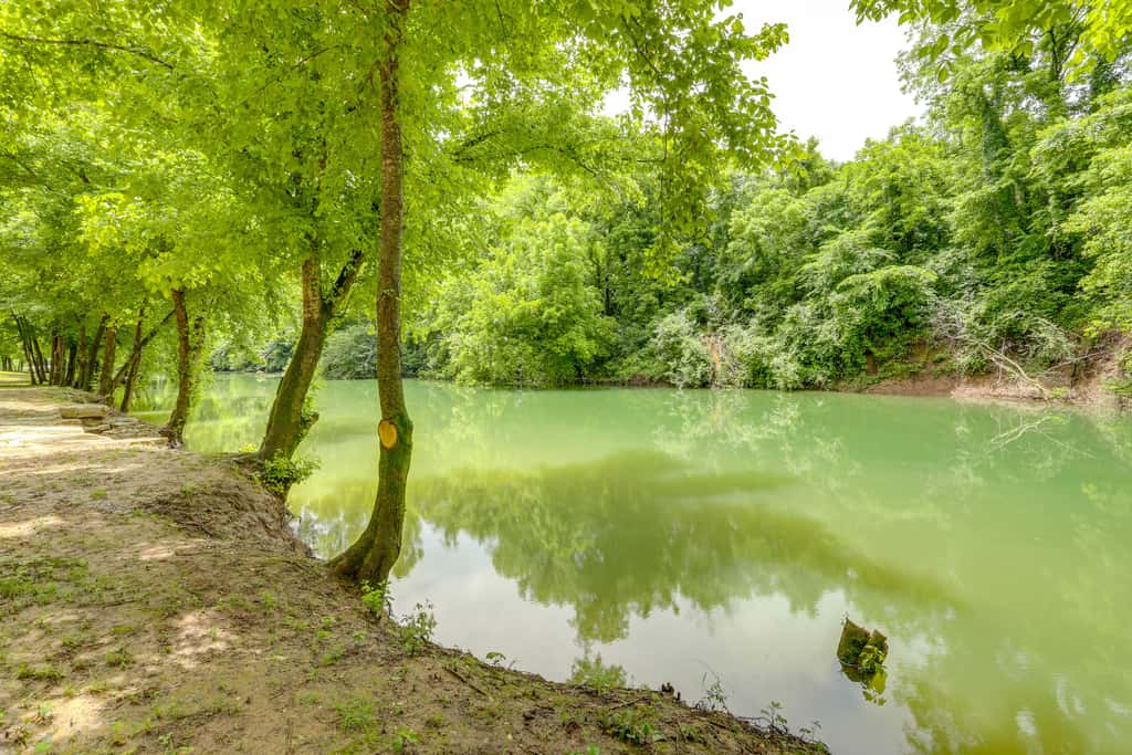 River Access & Private Deck: Mountain View Retreat