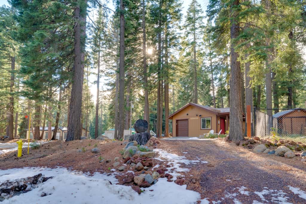Gateway to Lassen Volcanic! Cozy Woodland Studio