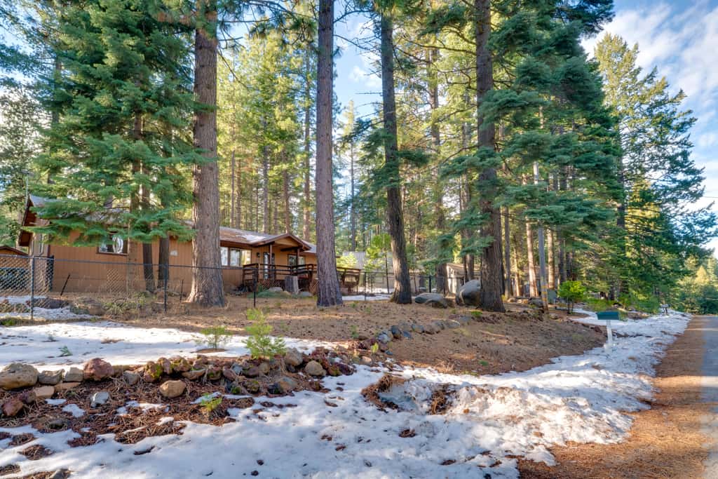 Gateway to Lassen Volcanic! Cozy Woodland Studio