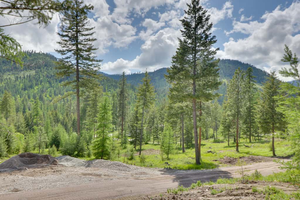 Lakeside Cabin Retreat w/ Private Hot Tub!