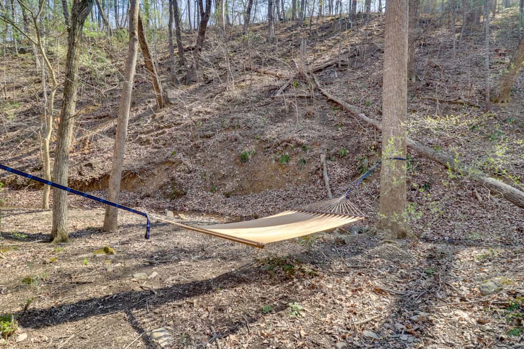 McGaheysville Vacation Rental: Yard & Fire Pit!