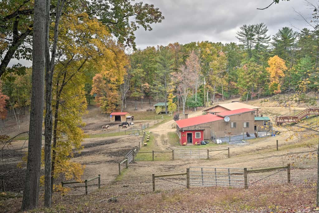 1 Mi to Raystown Lake: 'Wyatt Earp Cabin' w/ Deck!