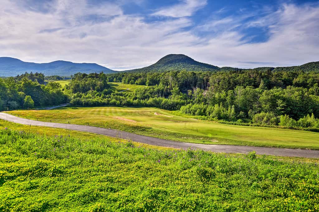 Ski-In Resort Family Condo w/ Deck at Jay Peak!