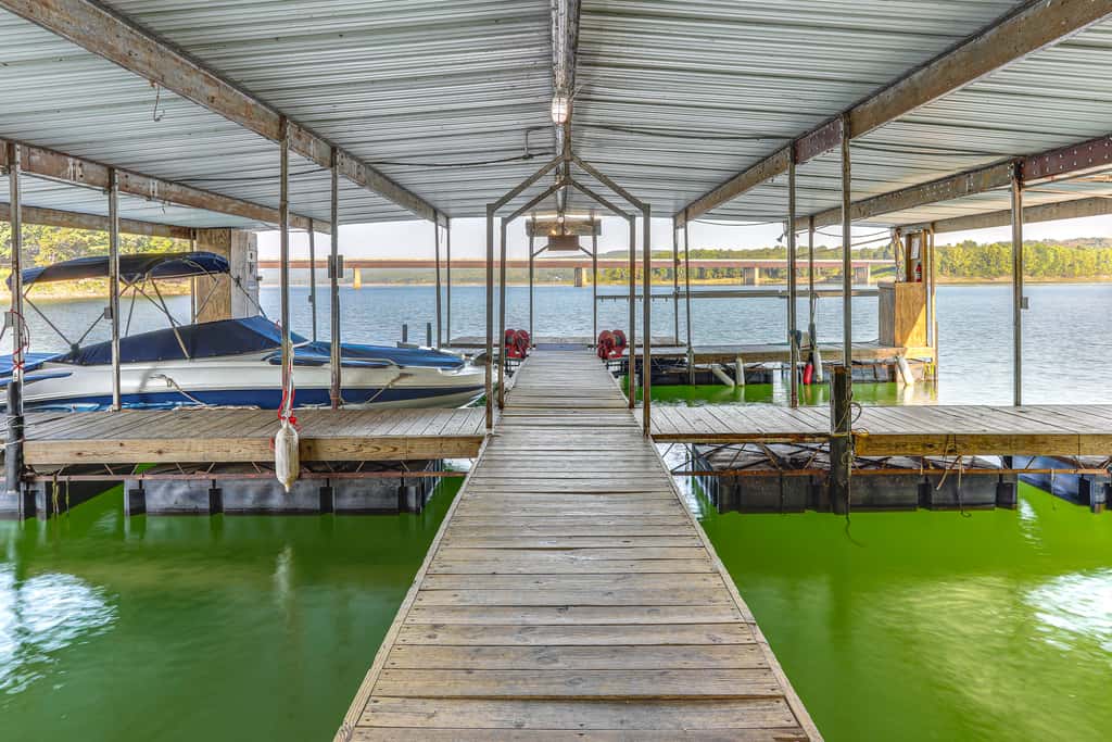 Shared Dock & Yard: Greers Ferry Lake Home!