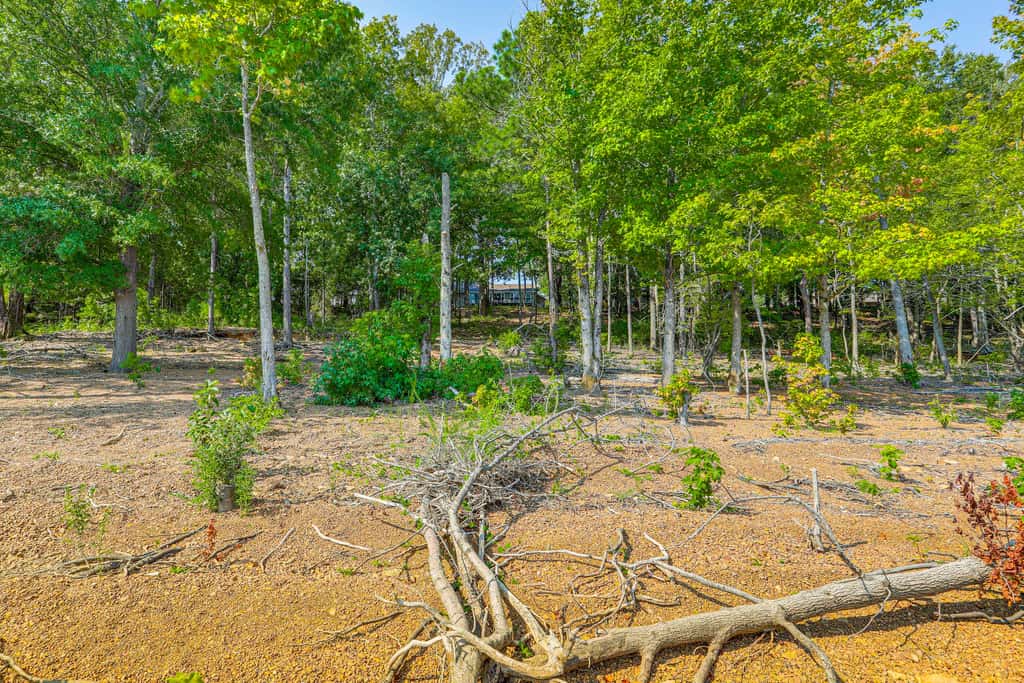 Spacious Heber Springs Home - Easy Marina Access!