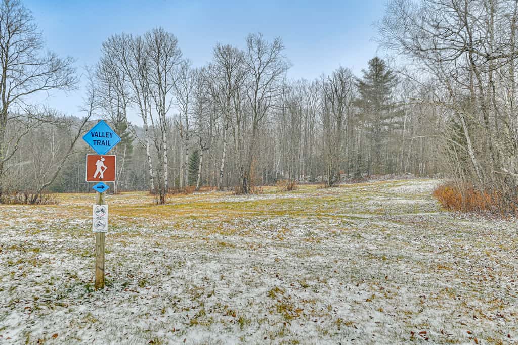 8 Mi to Mt Snow: 'Cozy Bear Cabin' w/ Hot Tub!