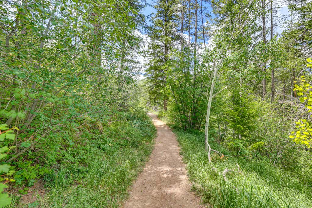 Avon Duplex w/ Hot Tub: Near Vail Hiking & Golf!