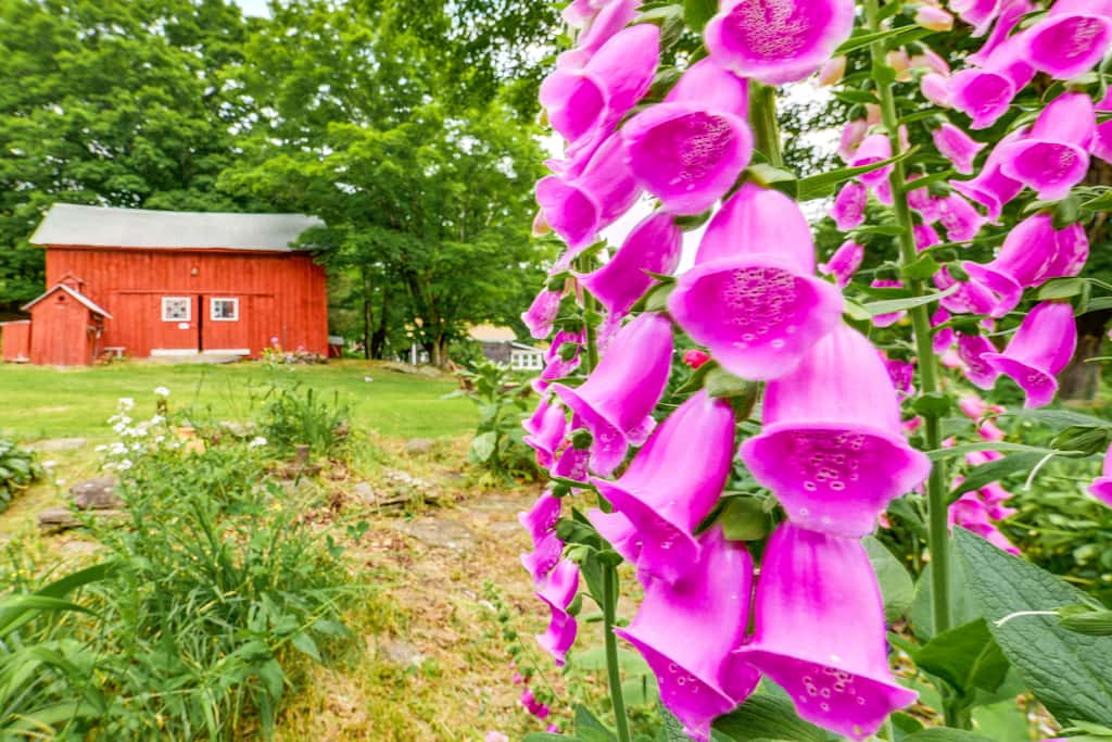 Cozy Catskills Vacation Rental with Deck!