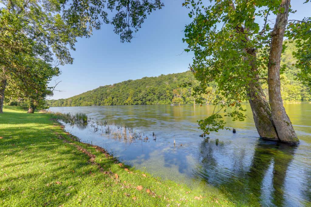 Riverfront Home w/ Porches & Views in Cotter!