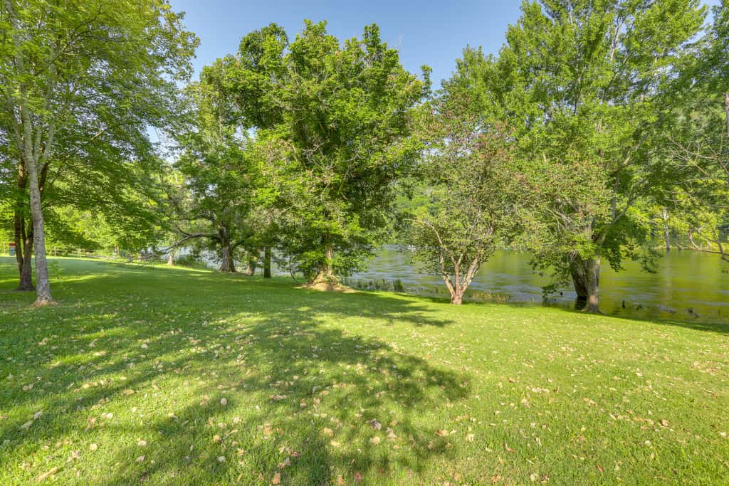 Riverfront Home w/ Porches & Views in Cotter!