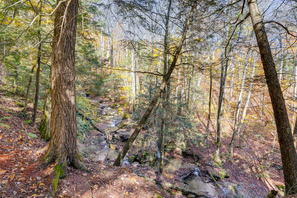 Wilmington Vacation Rental Near Hiking and Skiing!
