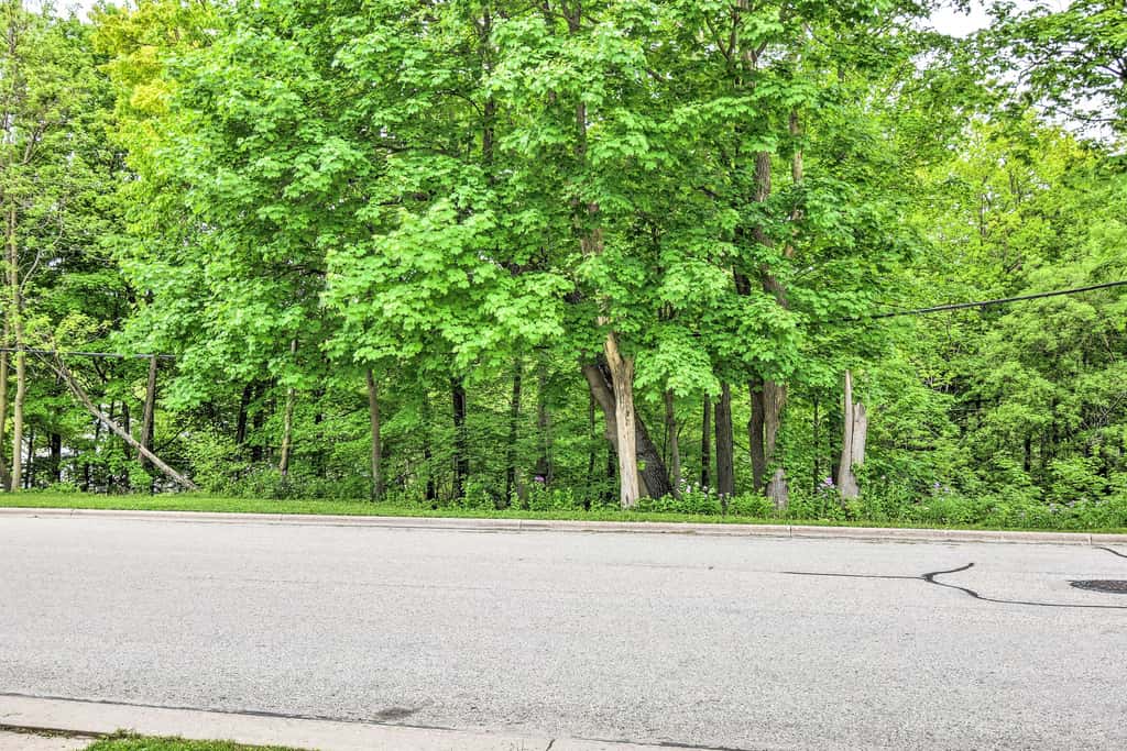 Cozy Unit w/ Patio: Walk to Dining, Lake Elkhart!