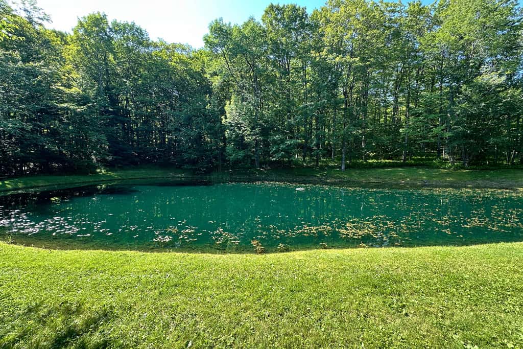 Fishing Pond + Pool! Resort Retreat in Wilmington
