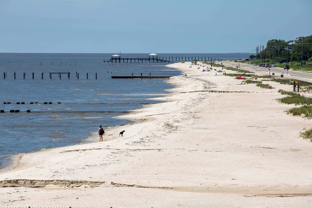 'Cloud 9 On The Coast' < 1 Mi to Beach!