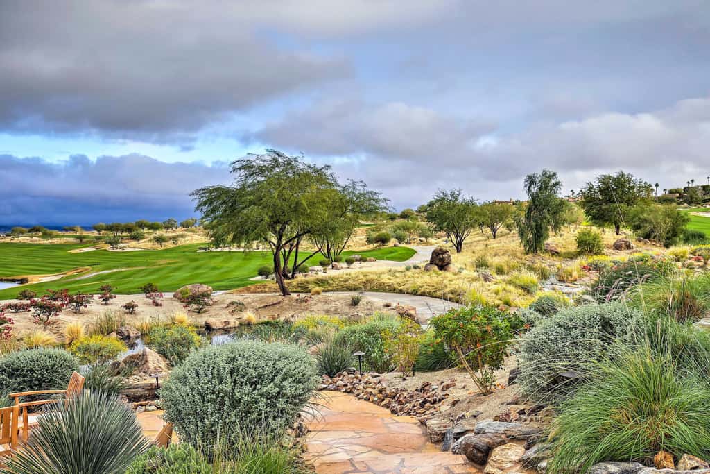 'Roadrunner Roost' at Rams Hill Golf Resort!