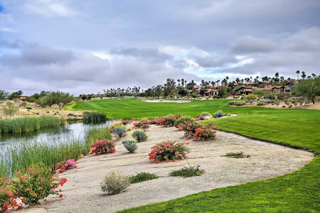 'Roadrunner Roost' at Rams Hill Golf Resort!