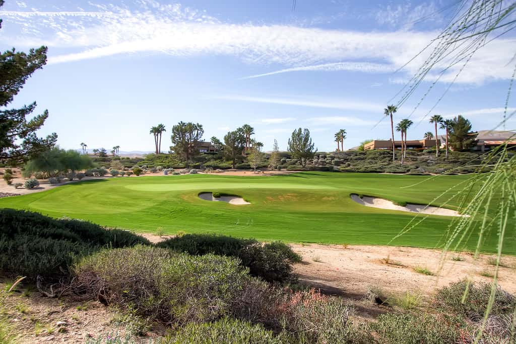 Country Club Home: 2 BR, 2 BA + Den ~ 1 Mi to Golf