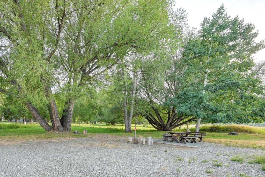 Charming Buena Vista Home w/ Private Hot Tub!