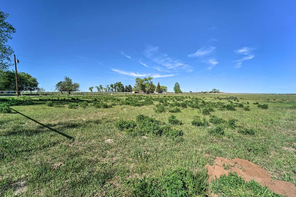14 Mi to Mesa Verde Nat'l Park: Cortez Ranch