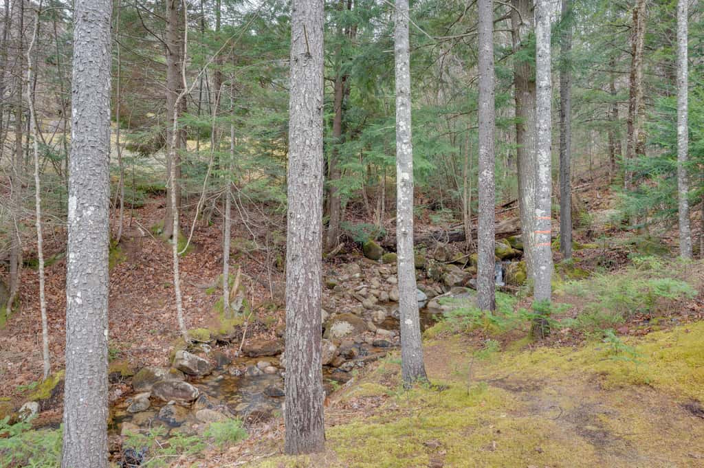 Cozy Bretton Woods Ski-In/Ski-Out Condo w/ Deck!