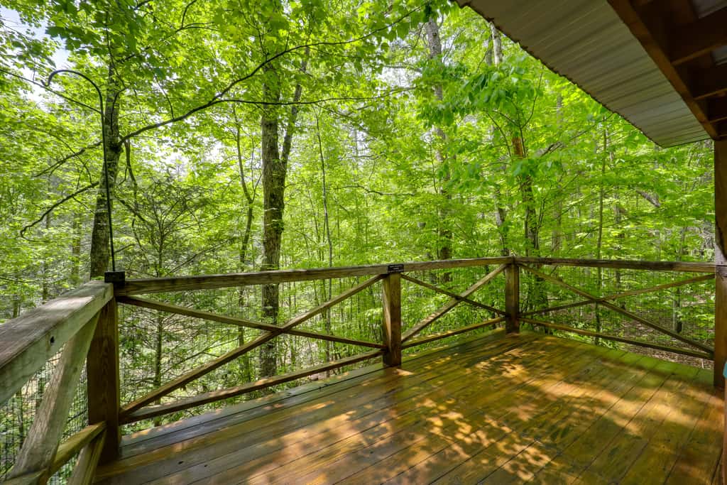 Marion Cabin on 92 Acres w/ Hot Tub & Trails