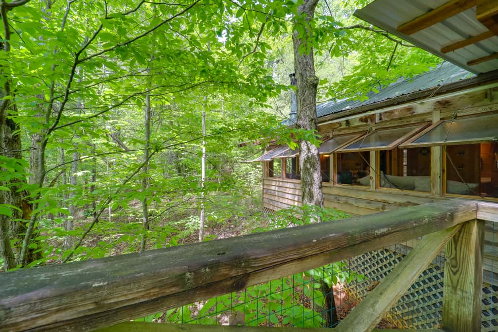 Marion Cabin on 92 Acres w/ Hot Tub & Trails