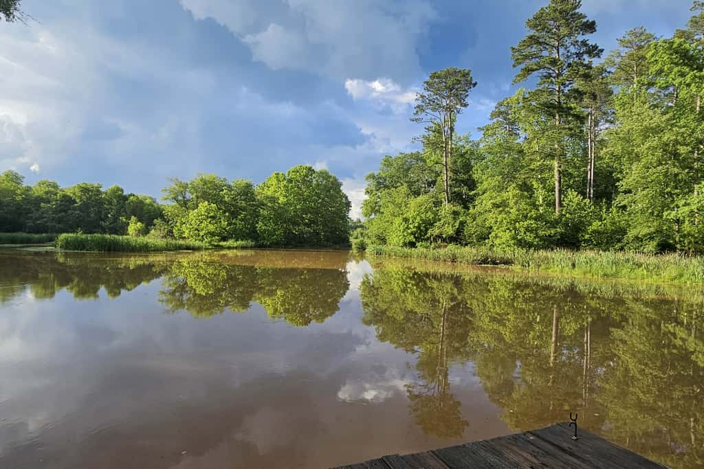 Wilderness Retreat on Crooked Creek, Lake Sinclair