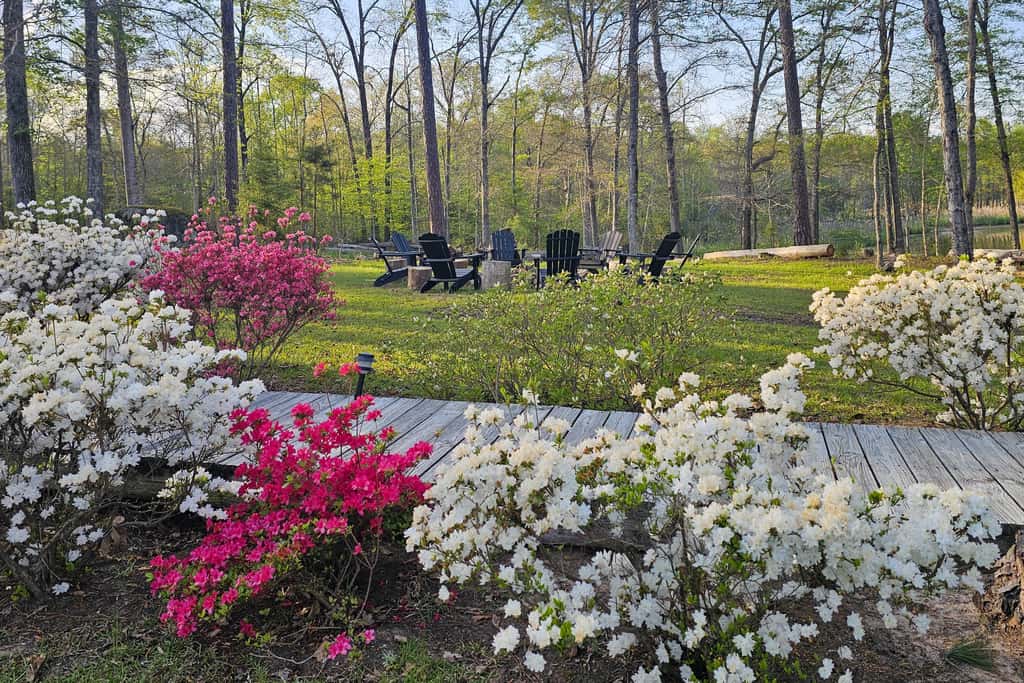 Wilderness Retreat on Crooked Creek, Lake Sinclair
