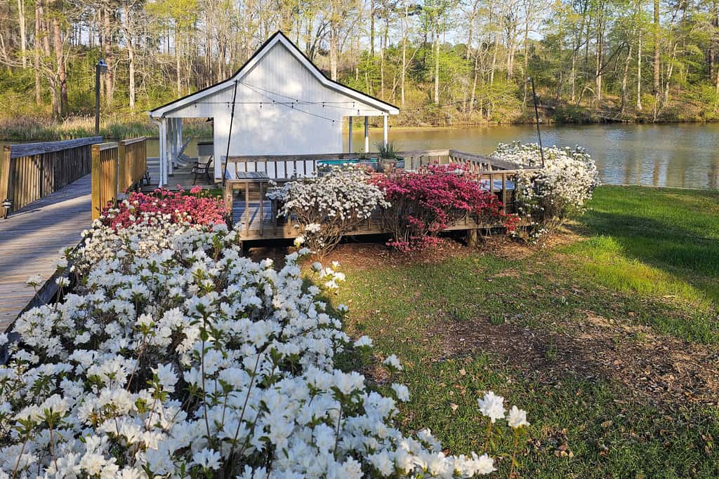 Wilderness Retreat on Crooked Creek, Lake Sinclair