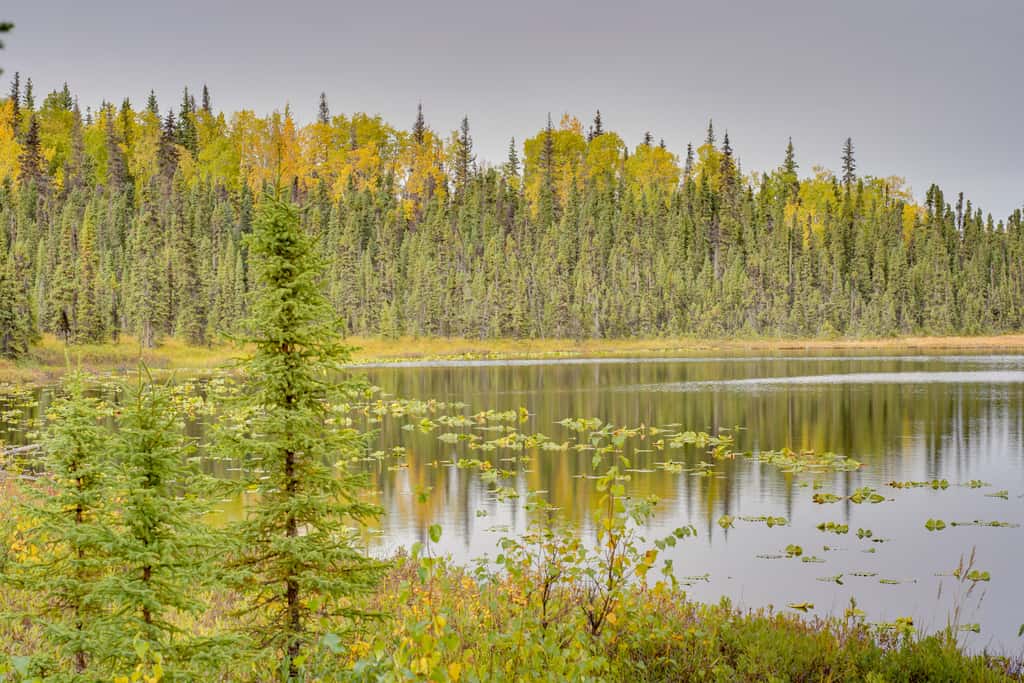 Lake Access at Peaceful Kenai Peninsula Getaway