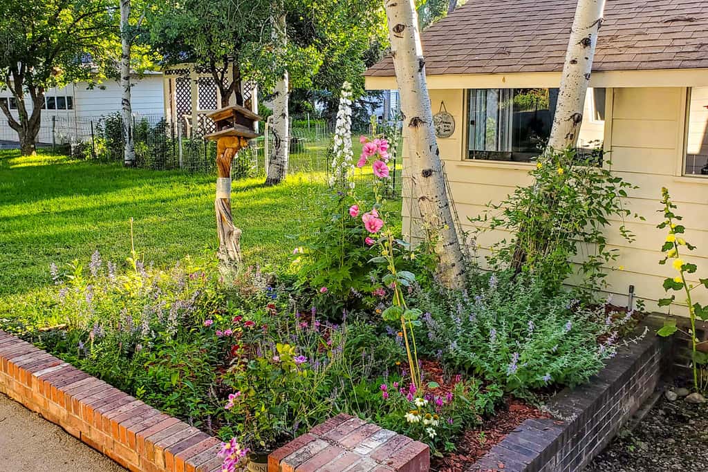 Charming Buena Vista Creekside Home: Walk to Main!